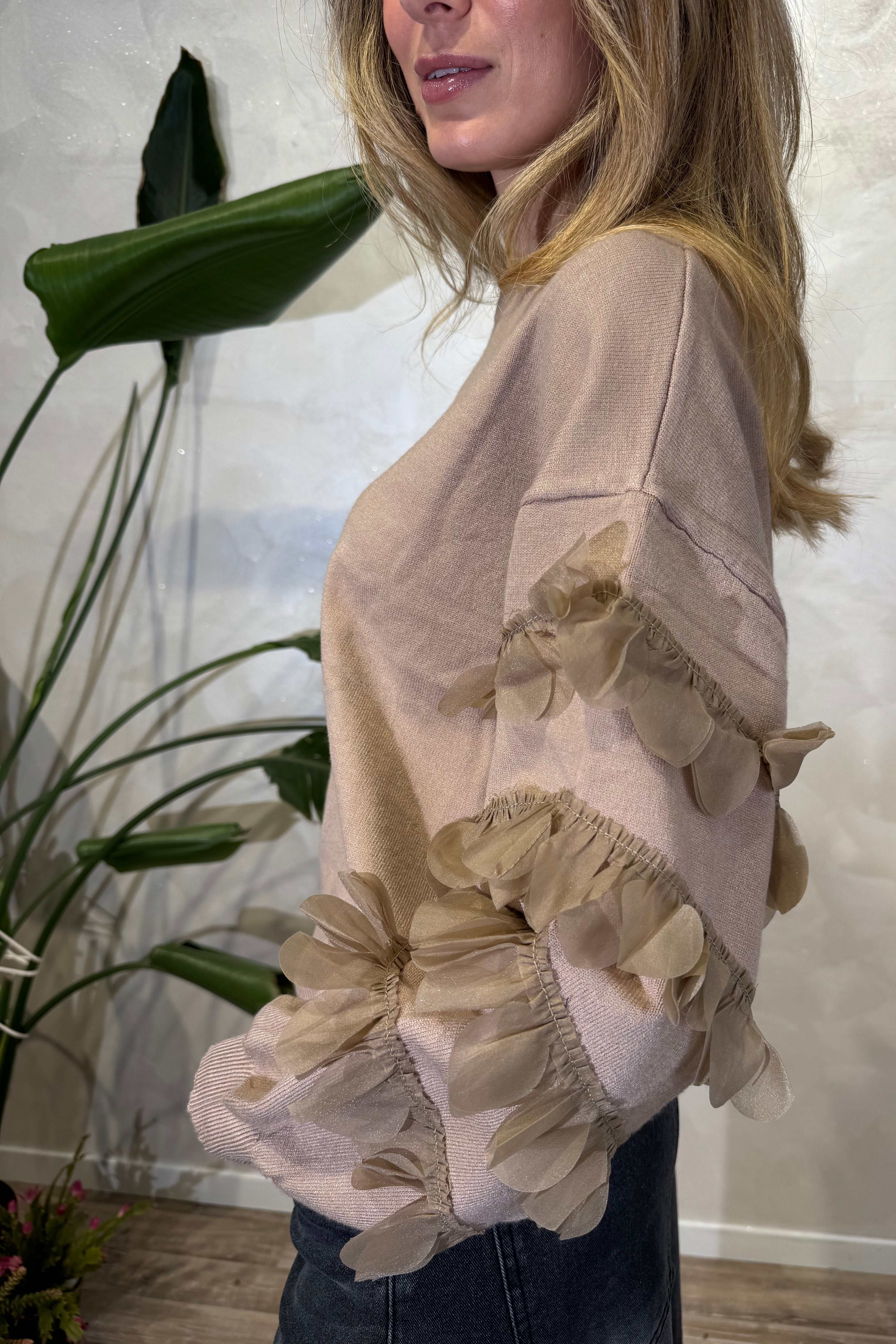 MAGLIA TRICOT CON PARTICOLARI APPLICAZIONI ALLE MANICHE COL. SABBIA