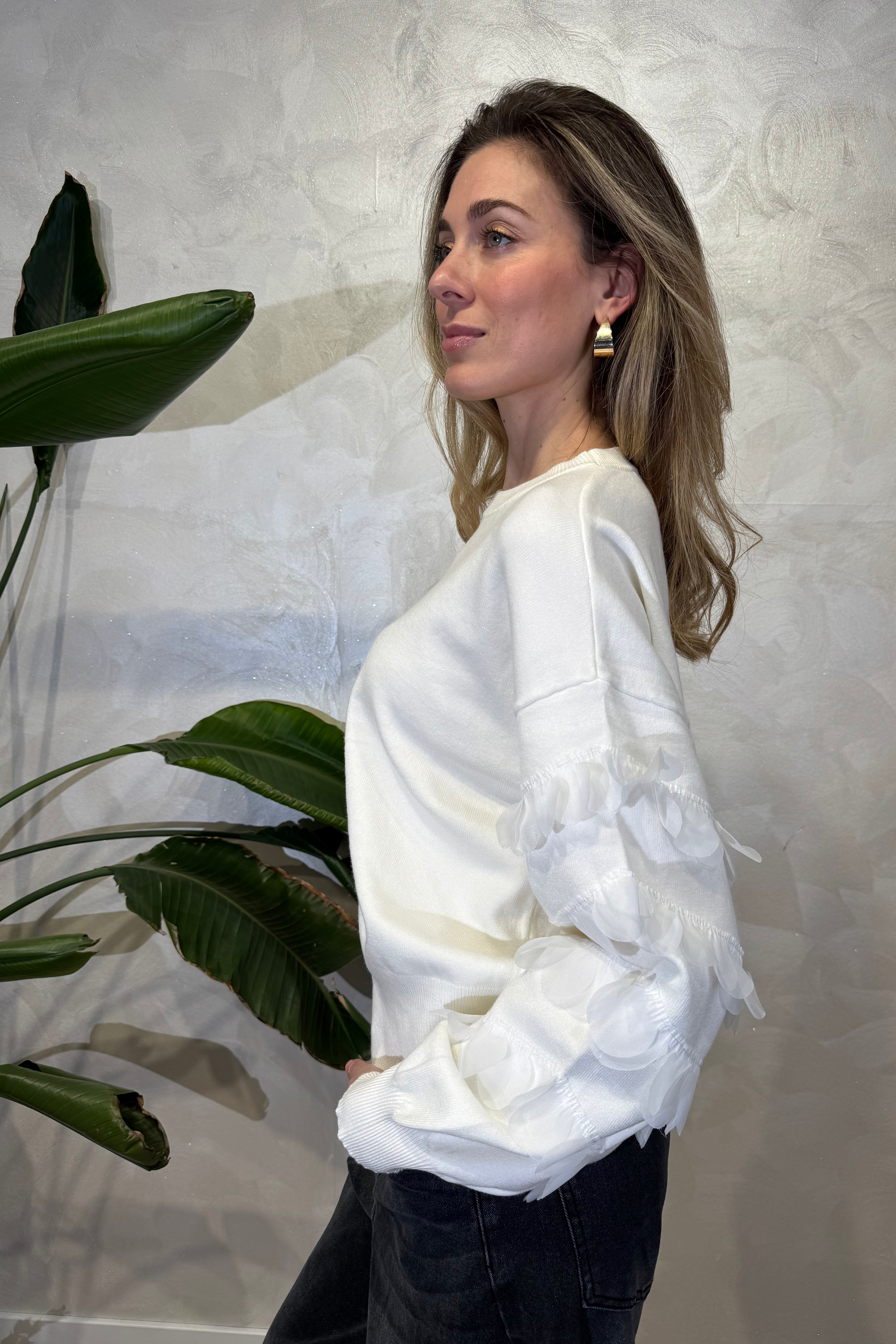 MAGLIA TRICOT CON PARTICOLARI APPLICAZIONI ALLE MANICHE COL. PANNA